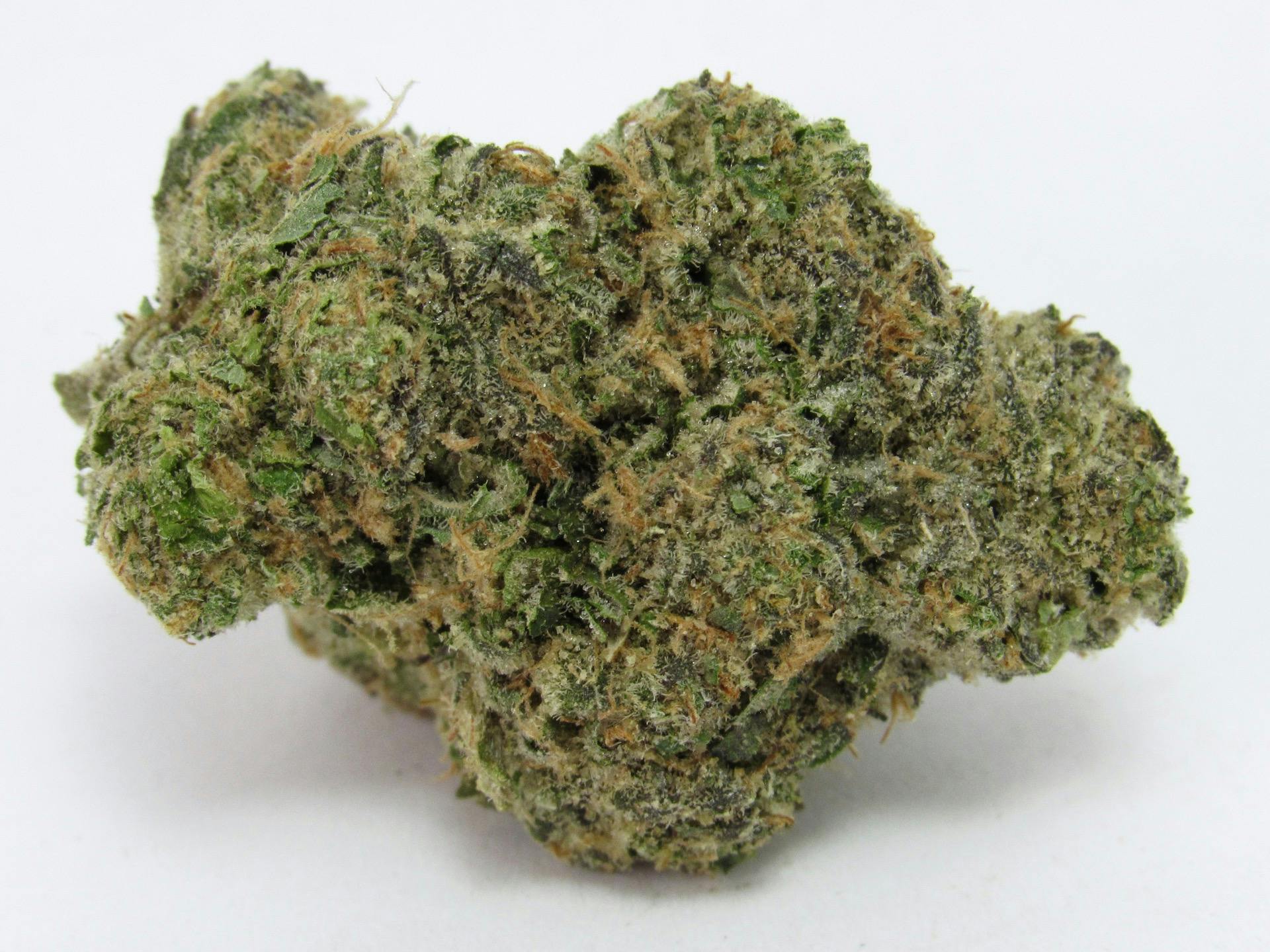 Permanent Paradize—Seed Junky Genetics, CA, winter 2023 image