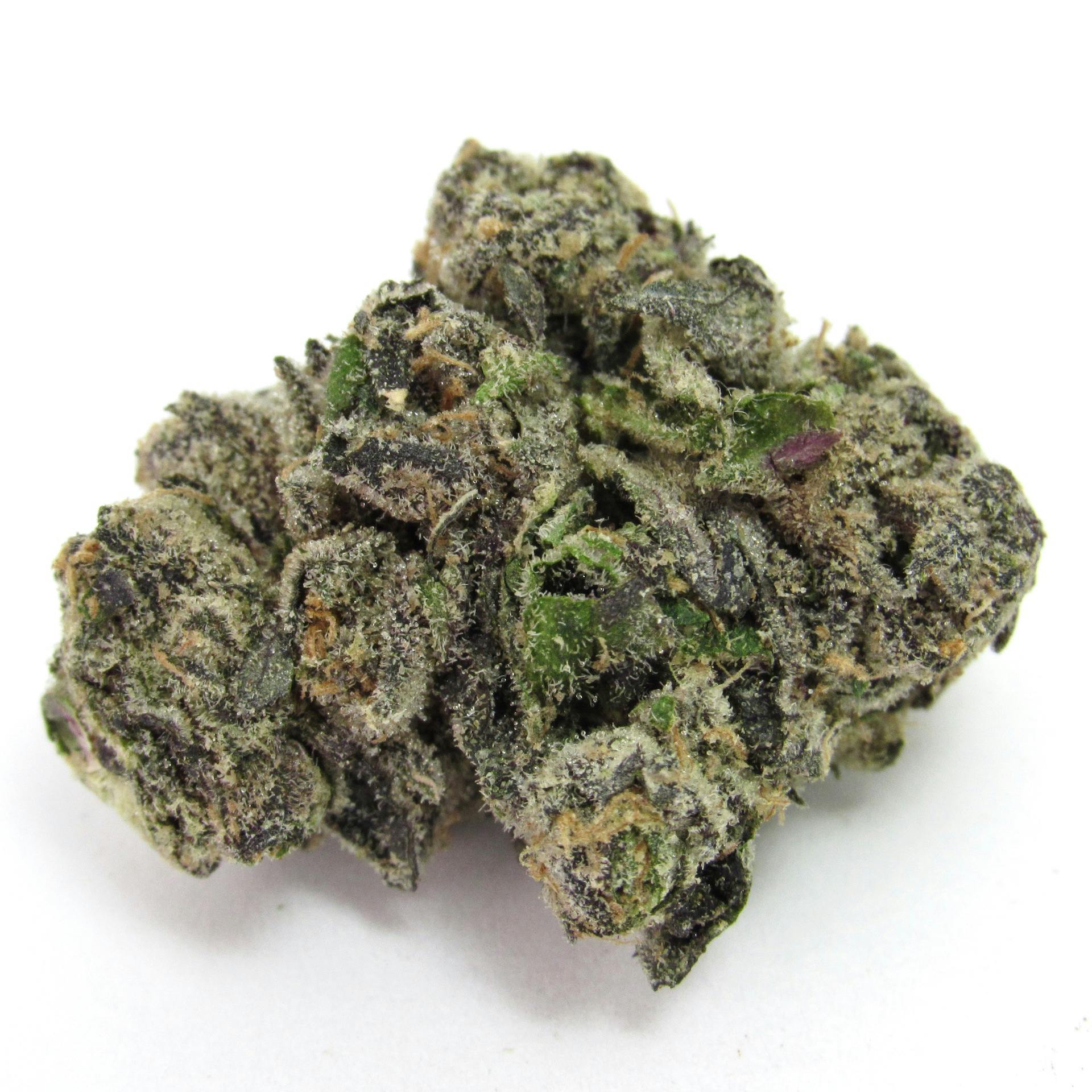 Gas Face—Seed Junky Genetics, CA, winter 2023 image