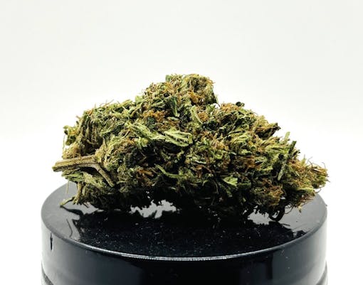 green nug on black lid against white background