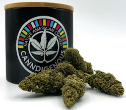 Forbidden V CBD—Canndigenous, Wisconsin, winter 2024 image