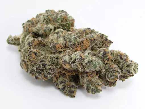 sumptuous and frosty marijuana nug on its side in various shades of green with several dull orange hairs