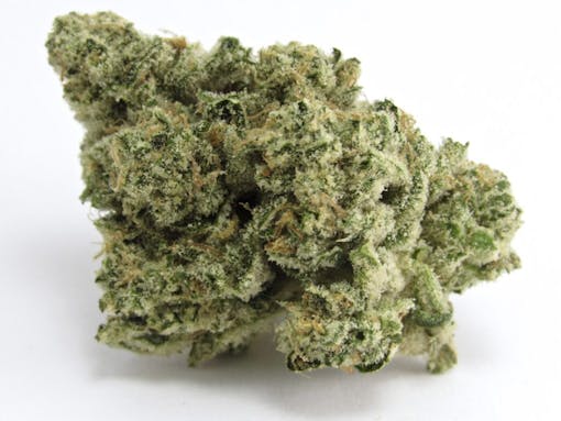 Fig Farms' winning Animal Face. Hybrid. 30%+THC. (David Downs/Leafly)