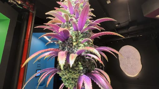 fake green marijuana plant seen from below in a dimly lit room. the undersides of the leaves are nearly flourescent purple