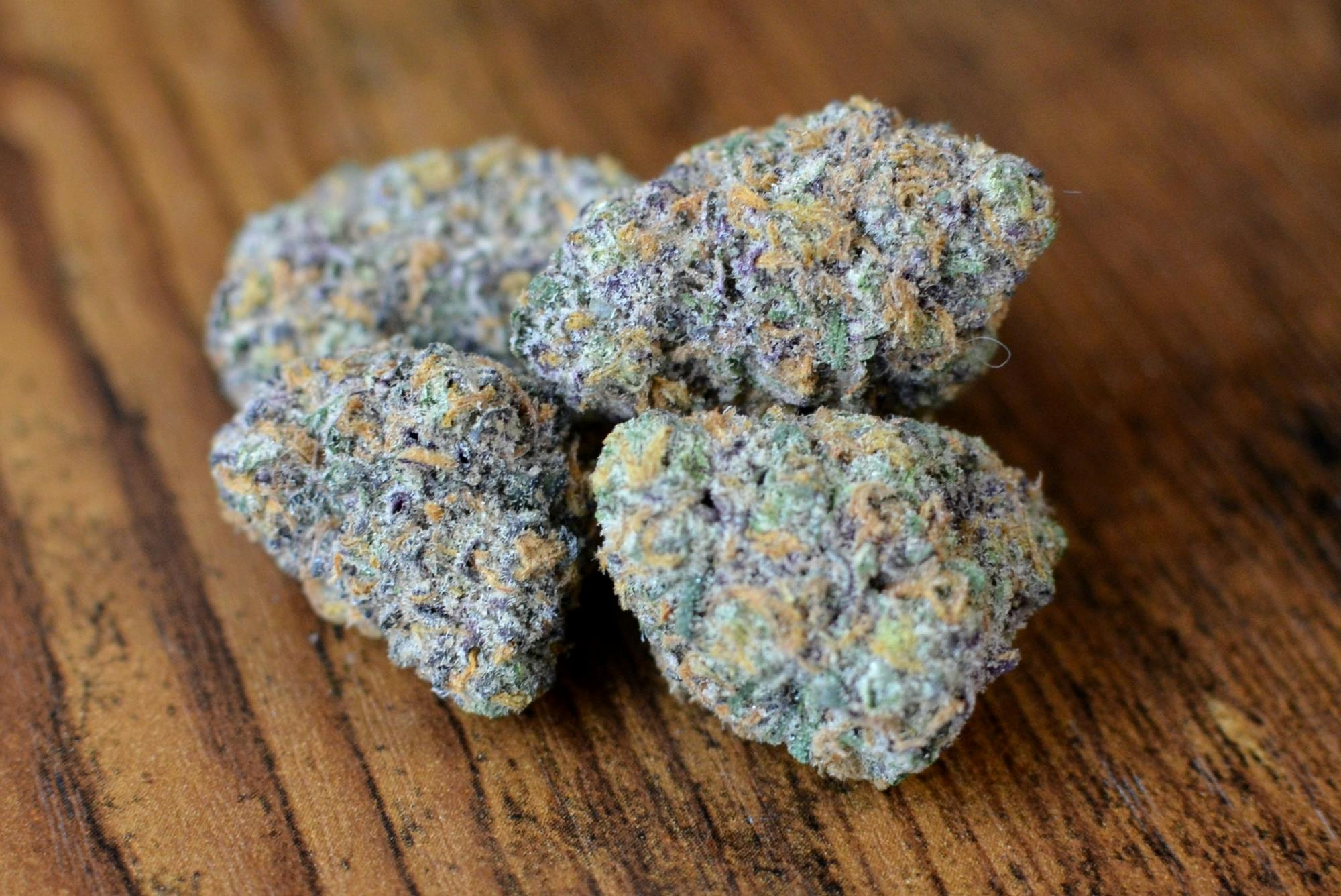 Dark Web—Alien Labs, CA, winter 2024 image