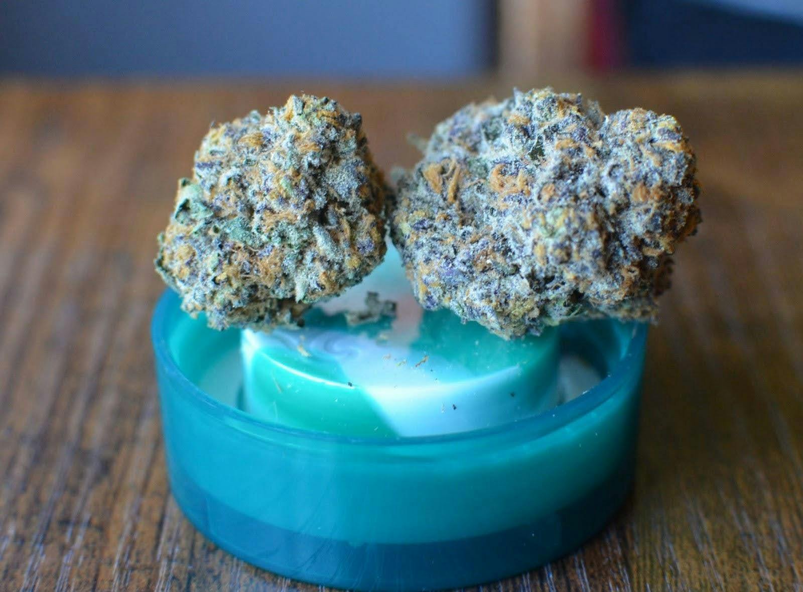 The Keeper—Wizard Treez, CA, winter 2023 image