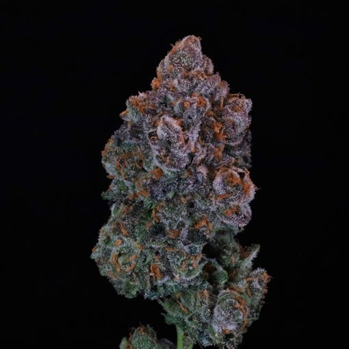 Green Apple Candy (Courtesy Atlas Seeds)