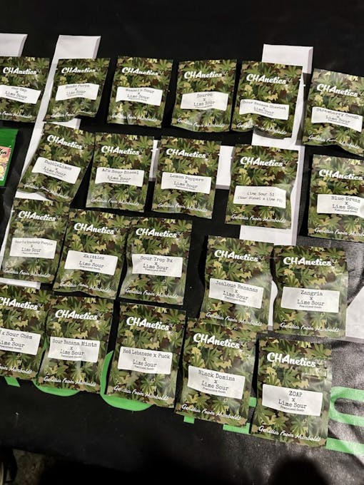 All your sour—are belong to us. (David Downs/Leafly)