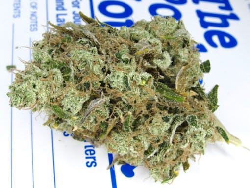 An AJ's Sour Diesel appears. (David Downs/Leafly)