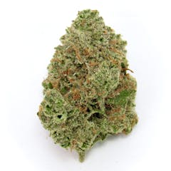vertically-oriented muted green nug with rusted orange hairs, set against a white background