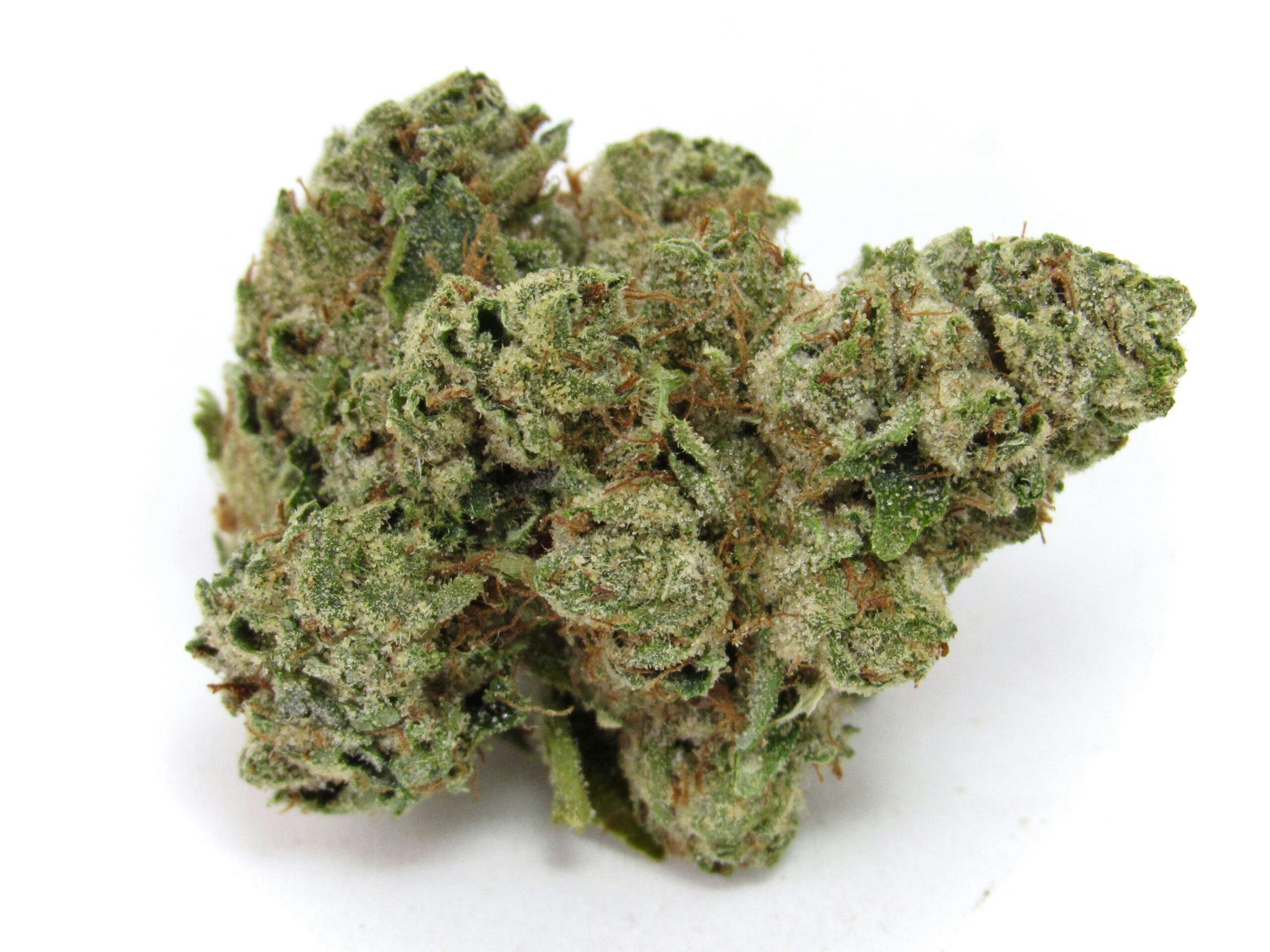 Paris OG—HOTBOX, CA, winter 2024 image