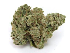 velvety green nug covered in white hairs set against a white background