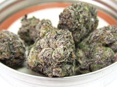 a pile of dense marijuana nugs, mostly muted green and frosty, shot through with glimpses of purple, resting inside a jar lid