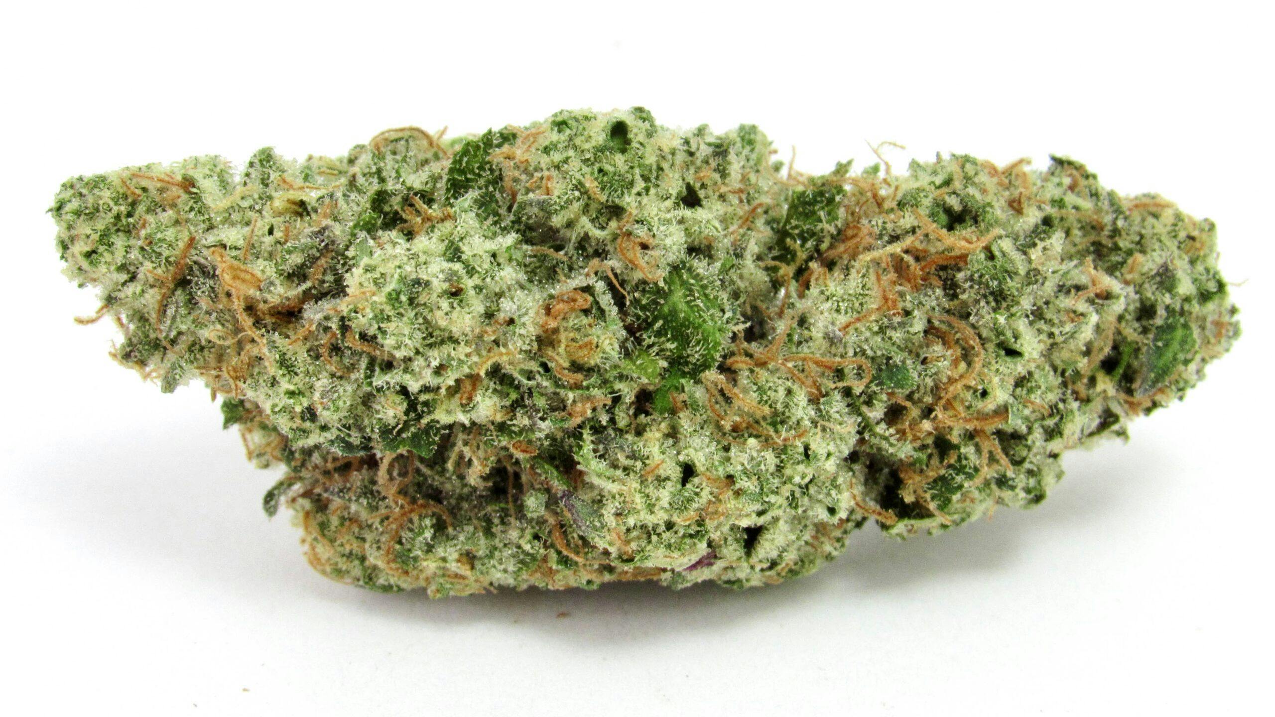 Jack Fruit—A Golden State, CA, winter 2024 image