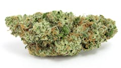 horizontally oriented light green and frosty nug covered in a few bright orange hairs, set against a white background