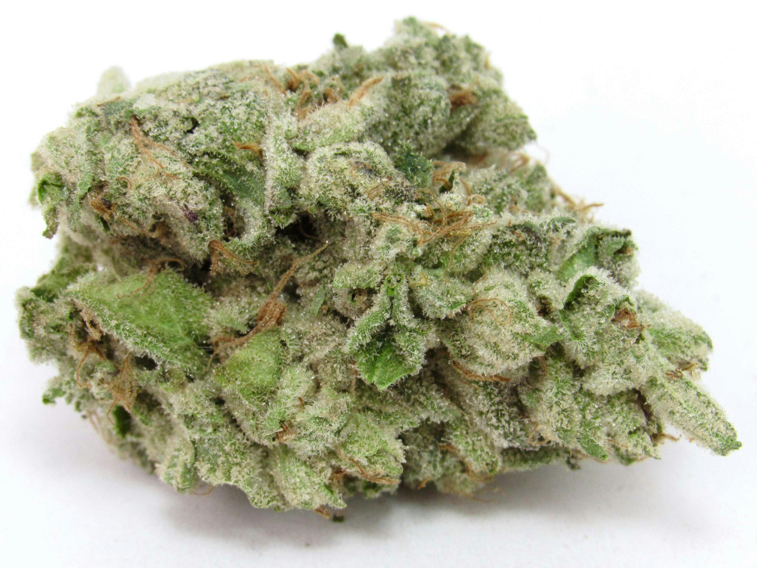 Bath House—Sense Cannabis, CA, winter 2024 image