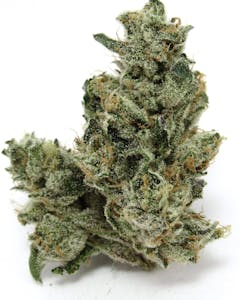 close up photo of cured dark green marijuana against a white background