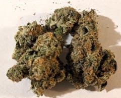 dark green nugs surrounded by a few crumbs on a white surface