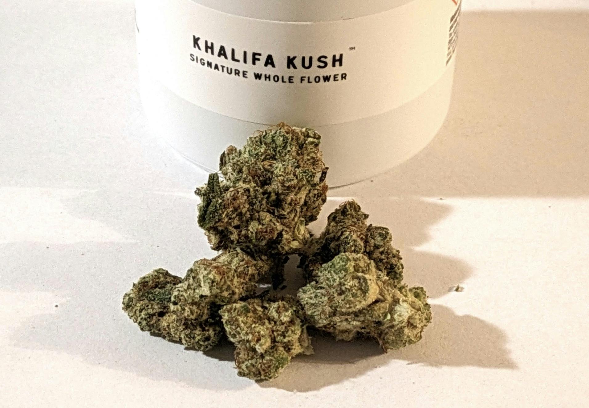 Khalifa Mints—Khalifa Kush, FL, winter 2024 image
