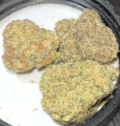 close up shot of three lime-green marijuana nugs with bright purple and orange hairs, all arranged on the inside of a jar lid