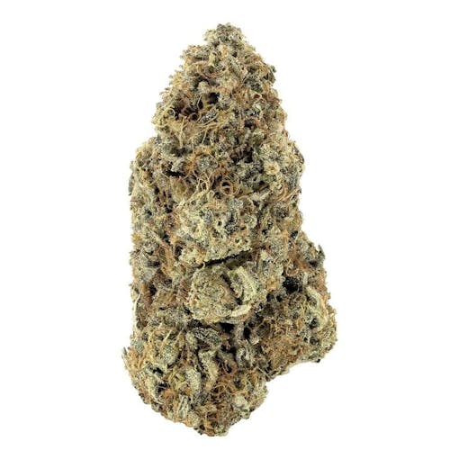 A vertical elliptical dark green bud of Rainbow Driver. Indica hybrid. (Grace B for Leafly)