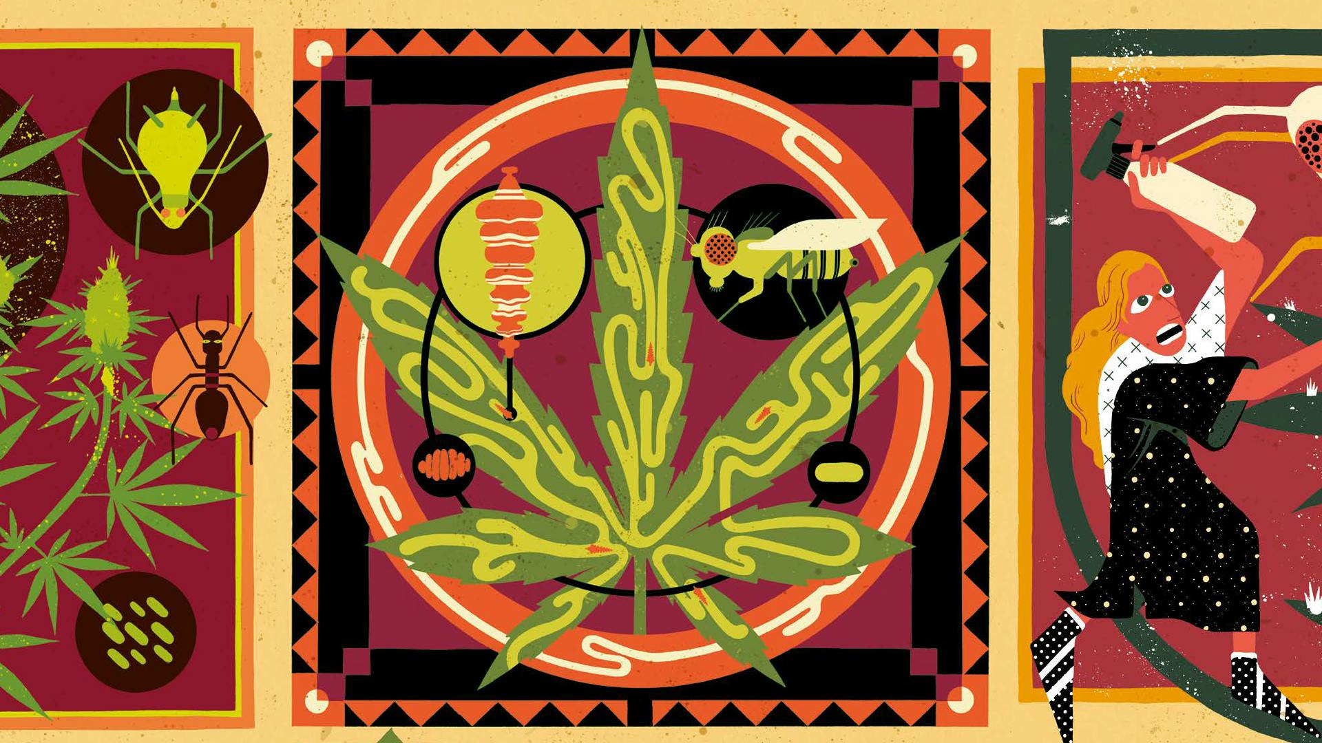 How to keep your crop free from pests with Kannabia Seed Company's image