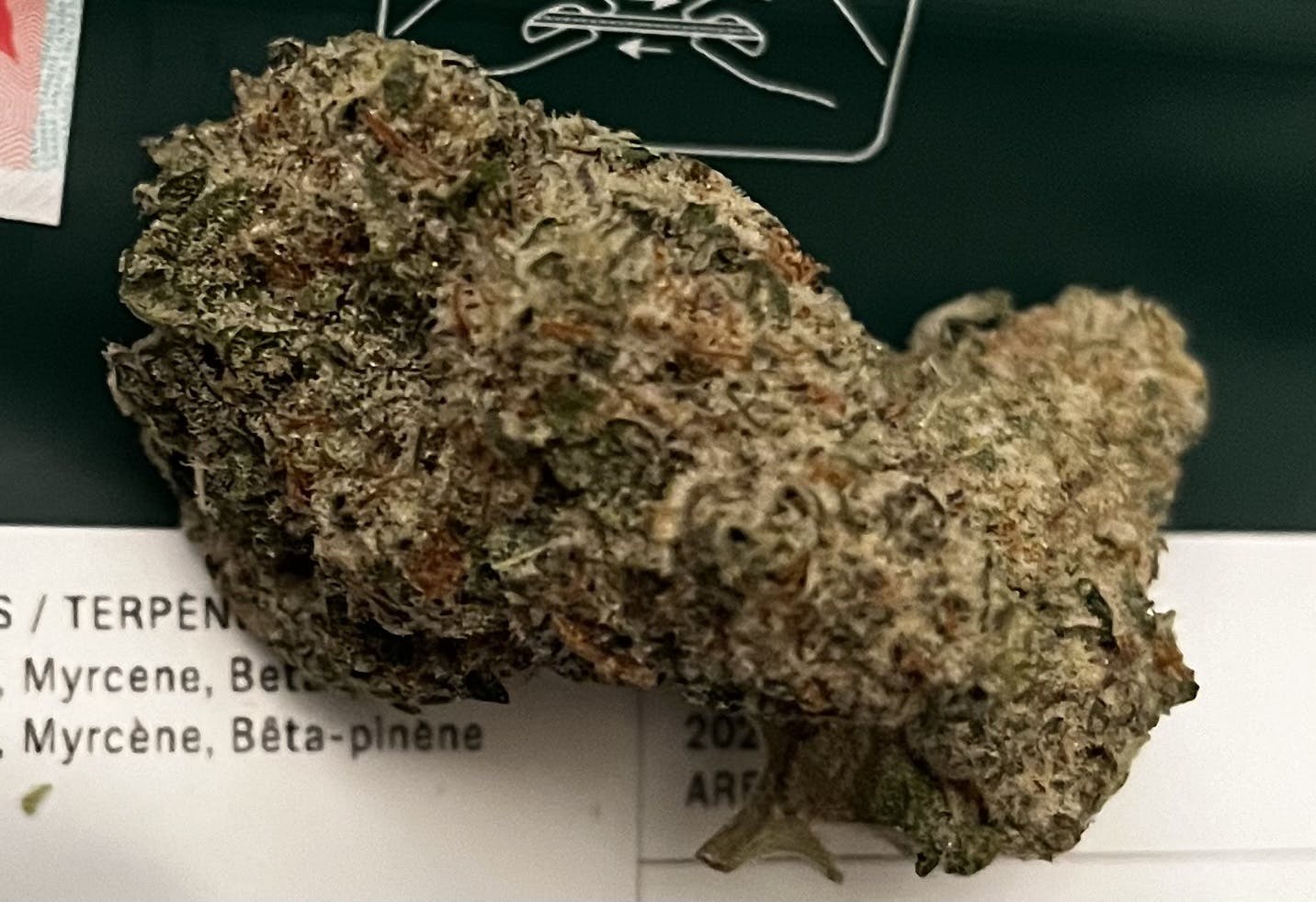 Area 51—Pure Sunfarms, British Columbia, Canada winter 2024 image