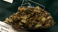 horizontally-oriented cured marijuana nug in various shades of light and dark green against a black background