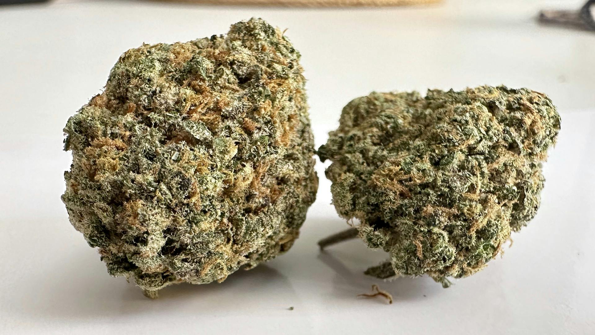 Takeaways from Europe's biggest weed bash—Spannabis 2024 image