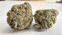 Takeaways from Europe’s biggest weed bash—Spannabis 2024 image