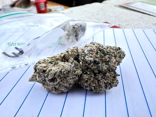 Barcelona-bought Permanent Marker. (David Downs/Leafly)