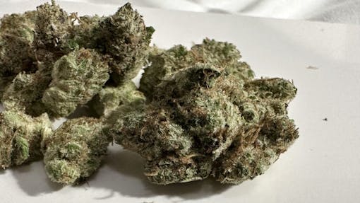 Club La Selva Lemon Curd. (David Downs/Leafly)