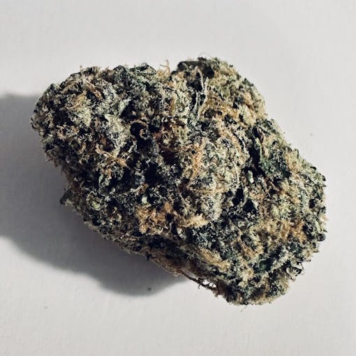 Barcelona Permanent Marker—Leafly Strain of the Year 2023. (David Downs/Leafly)