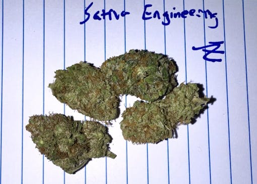 Green spongy hairy Z nugs running Europe, from Sativa Engineering, shown at the Jimi Devine Heat Quest. (David Downs/Leafly)