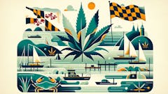 Abstract representation of Maryland featuring minimalist elements like the state flag, a blue crab, sailboats, and subtle cannabis leaf motifs, set against a backdrop of the Chesapeake Bay, conveying a sense of the state’s rich natural and nautical heritage.