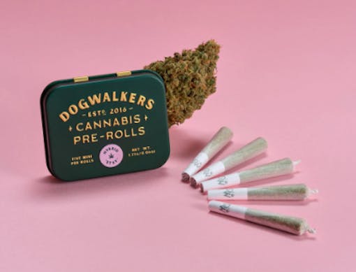 Dogwalkers Cereal Milk #1 Prerolls – best weed brands in Massachusetts