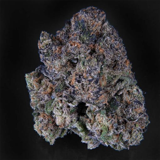 Zealousy. (Michael Blickstein for Leafly)