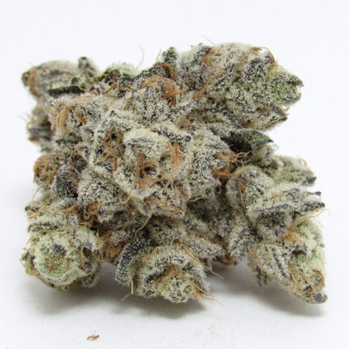 Sense cannabis-grown Pink Guava. (David Downs/Leafly)