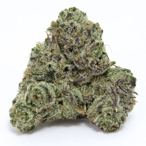 Pink Zaza by SOG Army. (David Downs/Leafly)