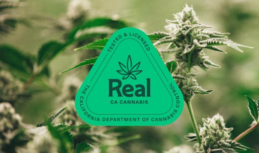 Real CA Cannabis