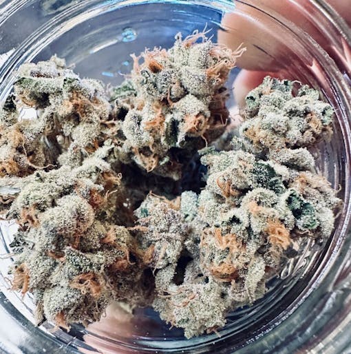 Piescream at SF Weed Week 2024. (David Downs/Leafly)