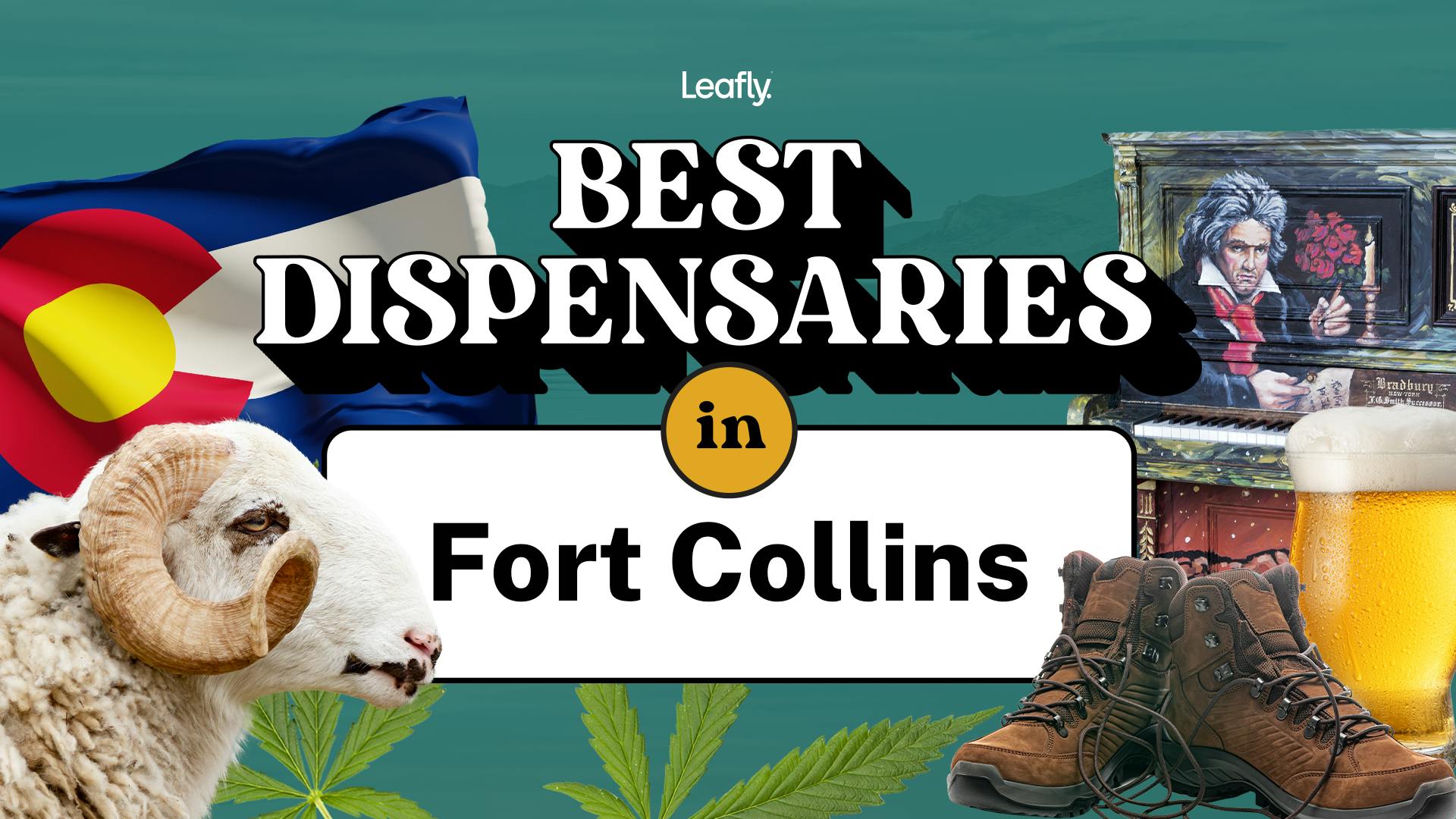 Best Rated Dispensaries in Fort Collins 2024 image