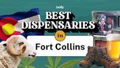 collage of photos representing Ft Collins Colorado