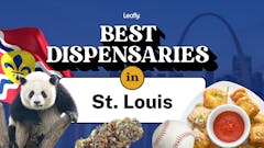 A collage of images representing St Louis Missouri including a panda, fried ravioli and baseball and cannabis