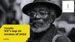 Trends dispensary presents: NY's top strains of 2024