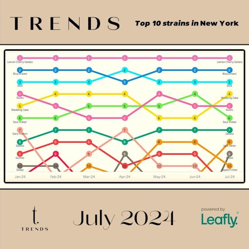 Leafly Trends Top 10 Strains in New York July 2024