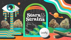 Star signs and cannabis strains: December 2025 horoscopes image