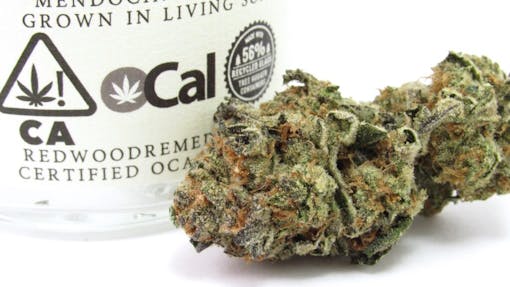 Redwood Remedies produces GSC that is certified