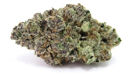 Wake up and rage with Point Break, from Surfr Seeds. Bred by Bosky Genetics. (David Downs/Leafly)