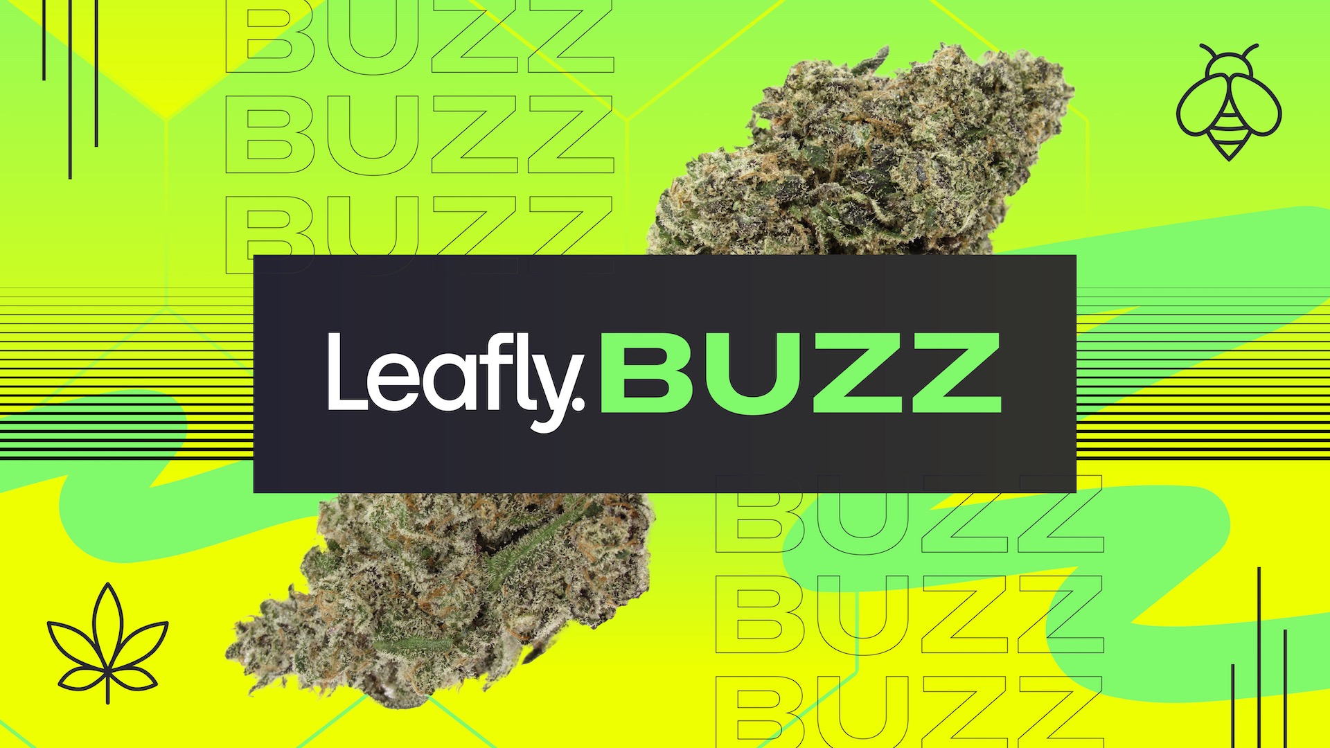 photo of Leafly Buzz: 12 hot cannabis strains of October 2024 image