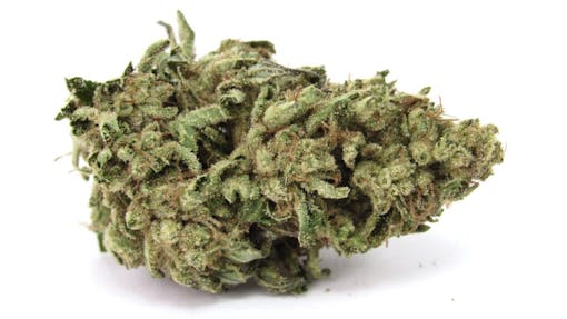 Grown by old hippies, Solful's range from Sol Spirit Farms ranks among the best in the state. (David Downs/Leafly)